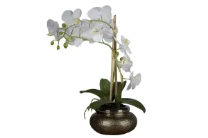 Flora Artificial Orchid Phalaenopsis in Antique Brass Bowl