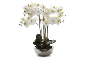 Flora Artificial Real Touch Phal Orchid in Silver Pot