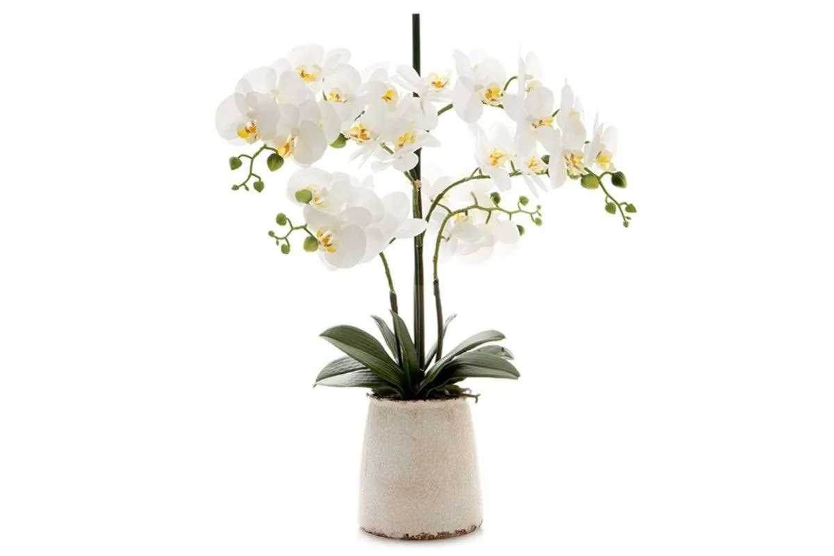 Flora Artificial White Orchid in Ivory Pot