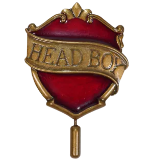 Gryffindor Head Boy Pin