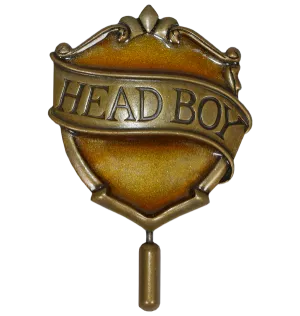 Hufflepuff Head Boy Pin