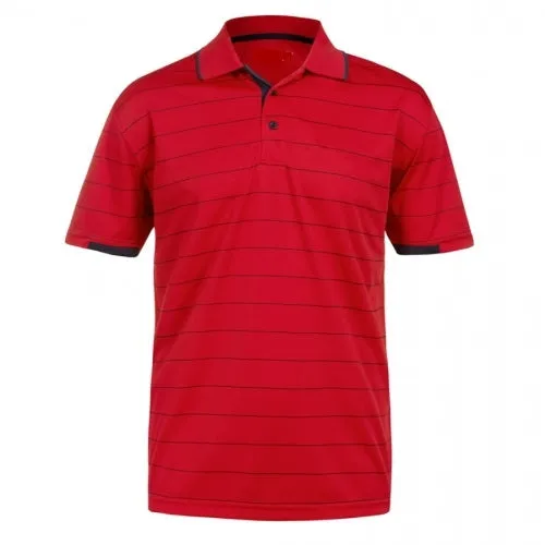 Leisure Bold Stripe Polo Shirt