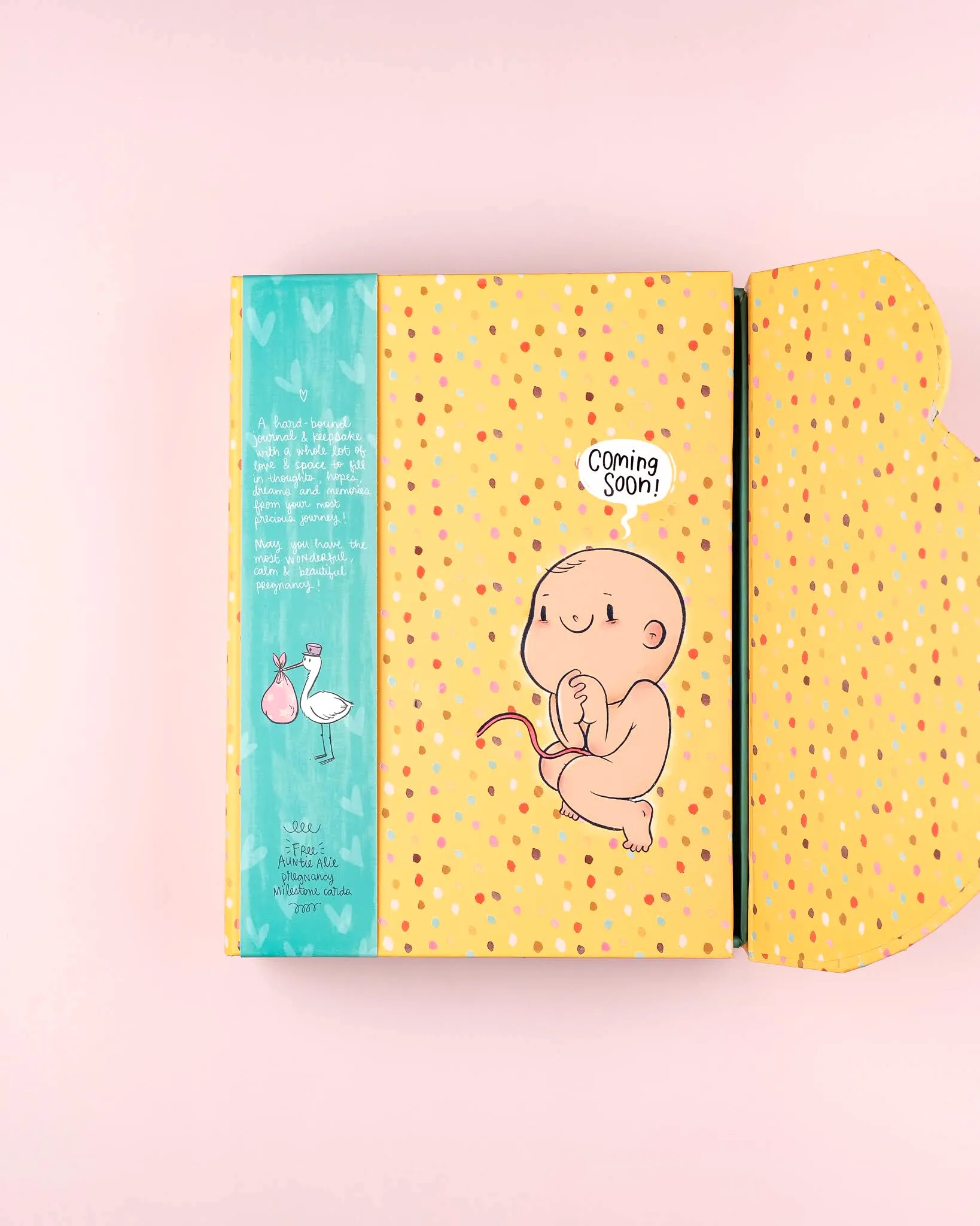 Pregnancy Journal Bump Box