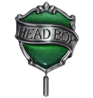 Slytherin Head Boy Pin