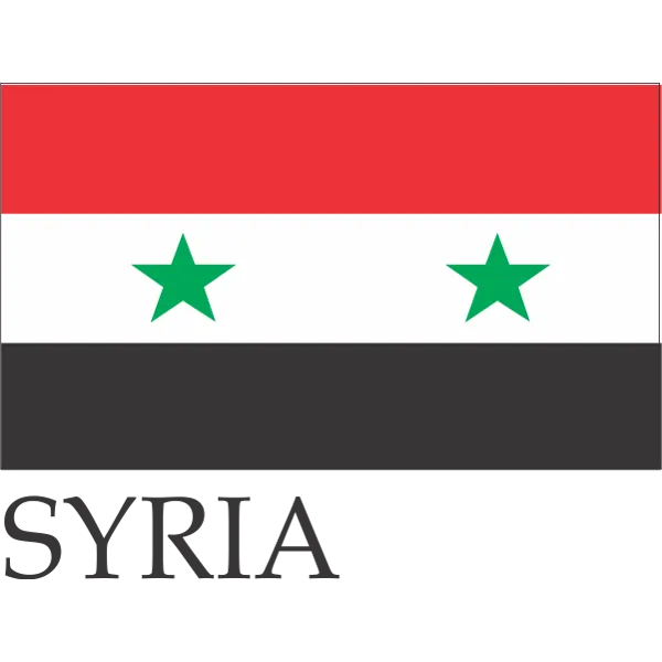 Syria Embroidered Flag Badge